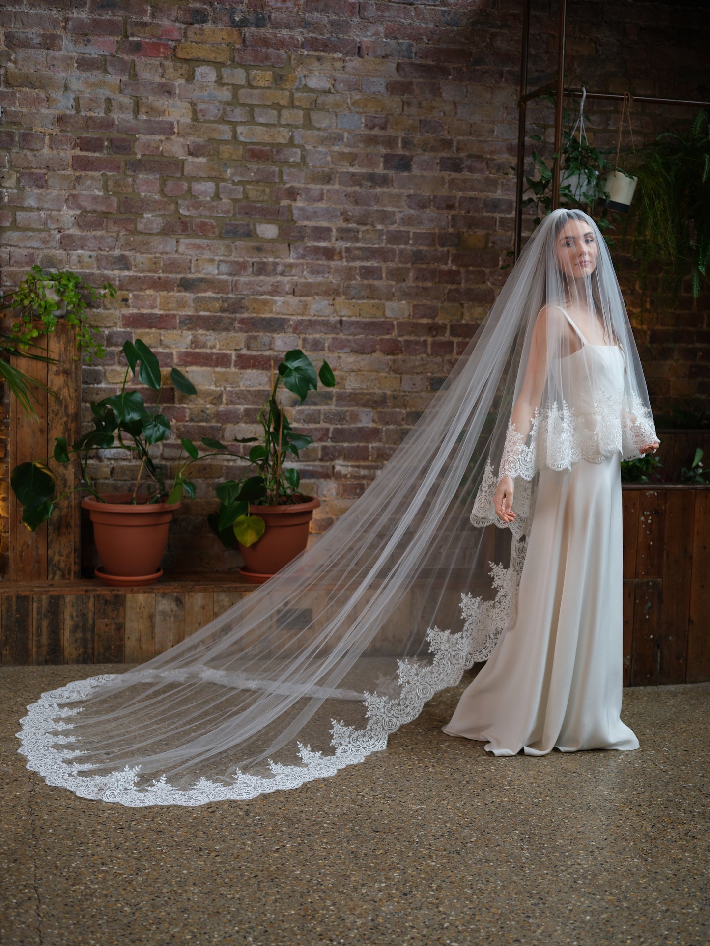 India 2 Tier Veil